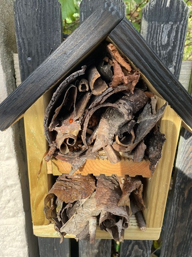 The first guest in one of the bug hotels